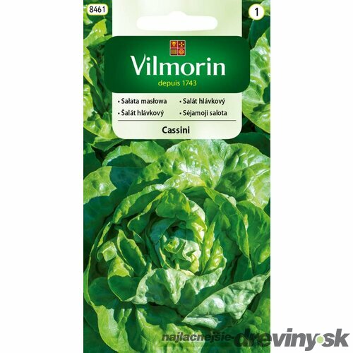 Vilmorin CLASSIC Šalát listový CASSINI skorý 0,5 g